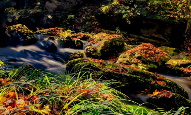 红叶漫山涧!来汉江源,邂逅一抹绝色秋光