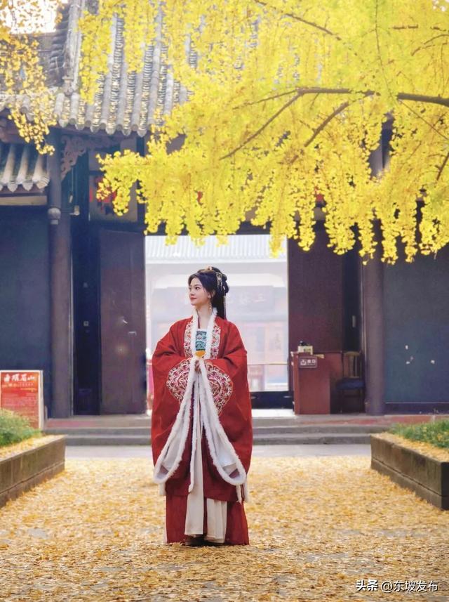 东坡银杏已“上分” ！快来拍