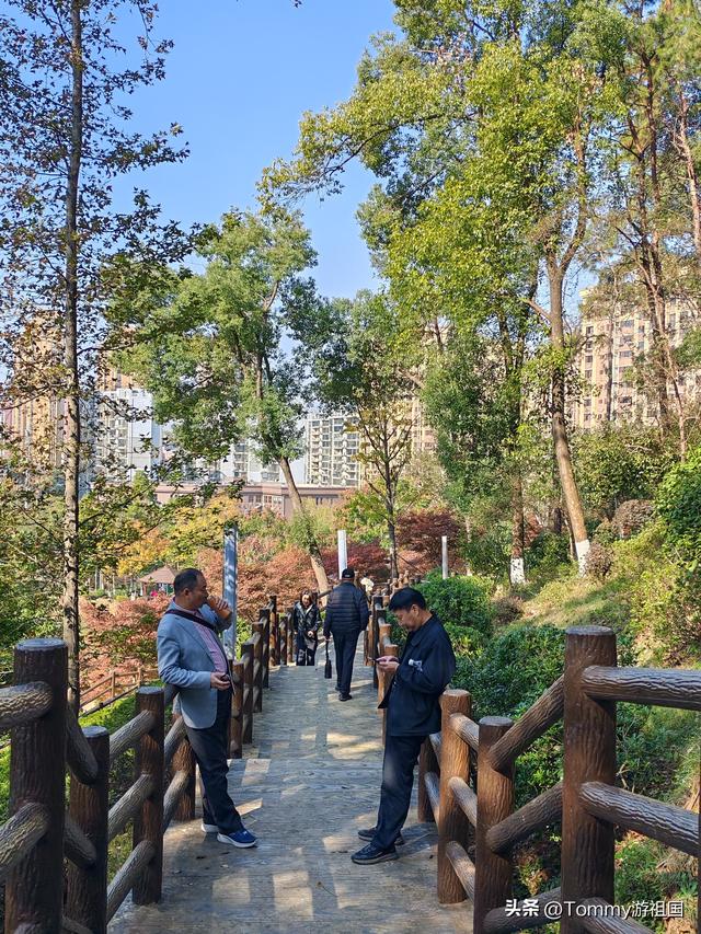 开着房车去流浪：打卡长沙狮子山公园