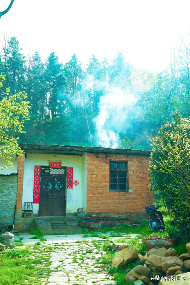 秋色正斑斓！信阳赏秋打卡地推荐