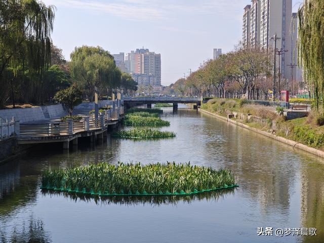 生物浮岛扮靓云梦水域 初冬亲水空间引客来