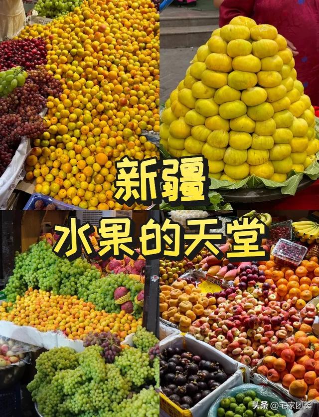 新疆的北疆vs南疆：5大核心差异一文看懂！别再分不清南北