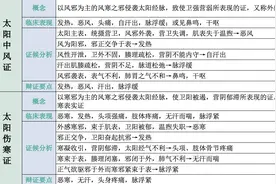 中医状元：张仲景六经辨证的太阳病之太阳经证全解图片