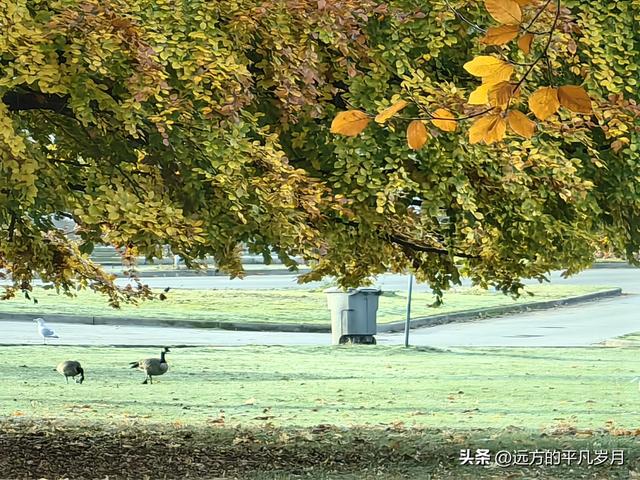 温哥华游记（四）