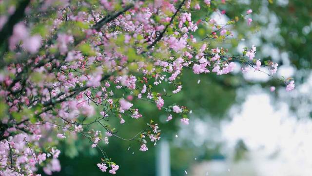 老伴退休跟人自驾游3年，回来我提离婚，她说又没做错为啥要分开