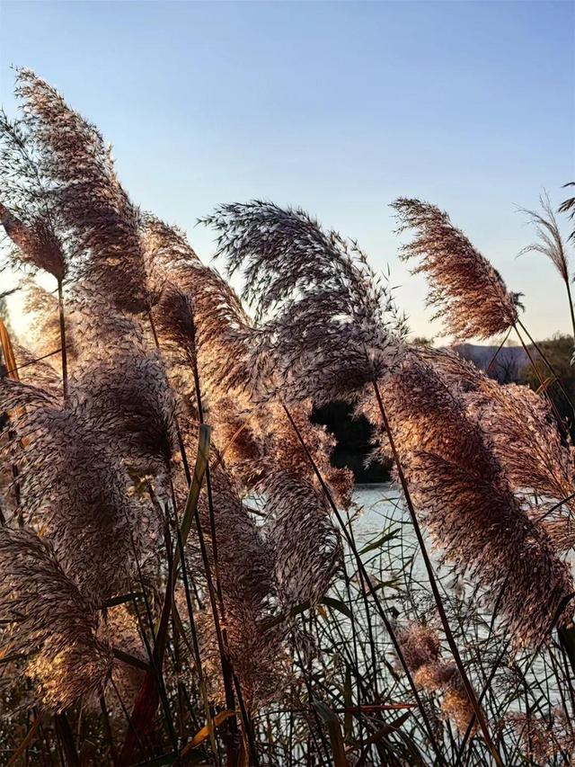 用电影的方式“打开”初冬！每一帧，都浪漫