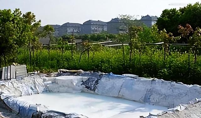 河南省扶沟县两村民在挖石灰池时挖出392块金币主动上交国家