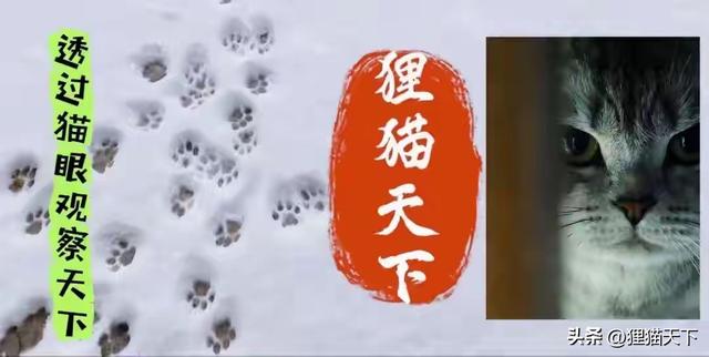 乌市鲤鱼山公园，从西门进去绕一大圈得有一小时，经过观景亭