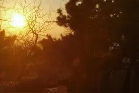 法人代表被法院执行限高有哪些影响图片