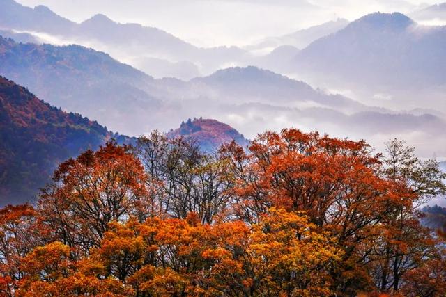 大山里的仙境，漫山红叶，斑斓如画，藏着中国最“英雄”的秋天！