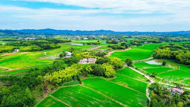 湖北赤壁：蓝天白云映绿野 碧水金稻漫山岗