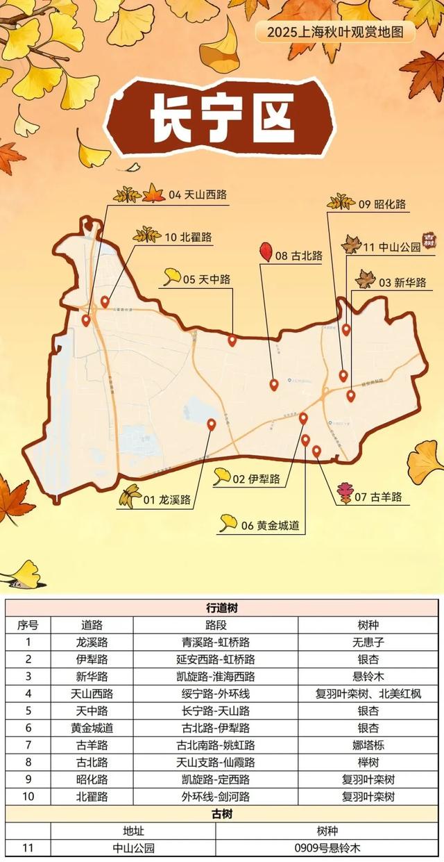 2025上海秋叶地图出炉,徐汇这些点位不可错过!