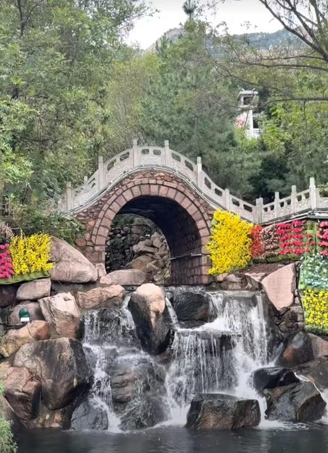 跟着色彩游临沂 | 红叶漫山・秋韵沉醉之旅 美到尖叫