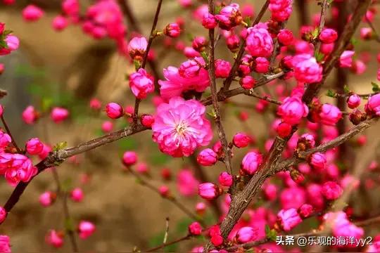 婚姻就这三件事：吃睡聊，爱自己才是终极依靠