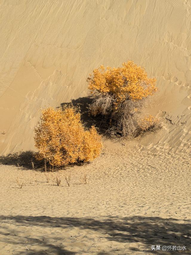 2025环南疆沙漠铁路背包自由行日记(8)——游览葫芦岛和塔塔秘境