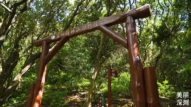 深圳值得推荐的十条徒步线路