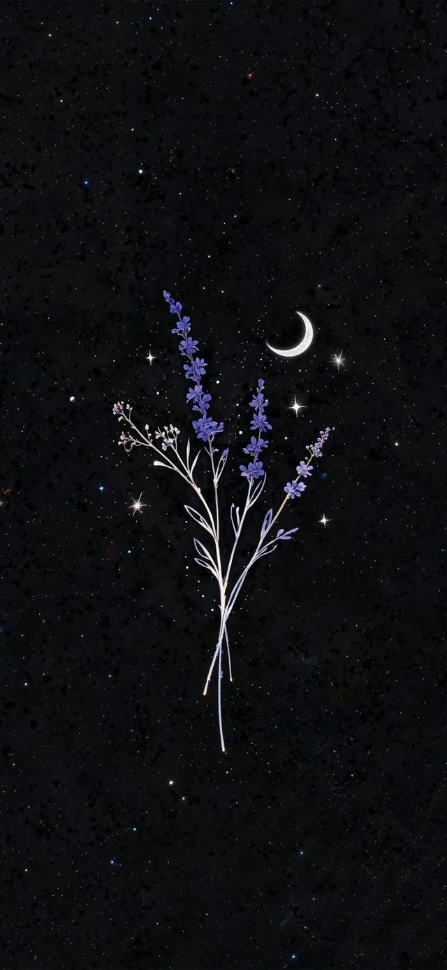 深色系手机壁纸5.02