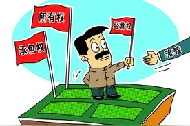 土地承包再延30年！无地农友怎么办？真要等30年才能有地？图片