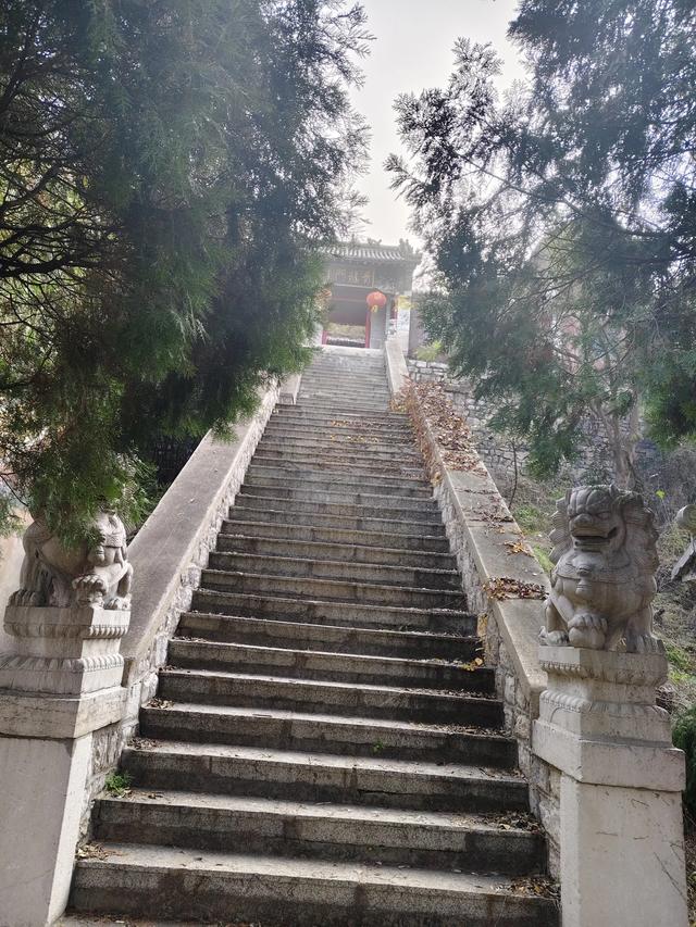 去博山盆泉张丹顶赏红叶