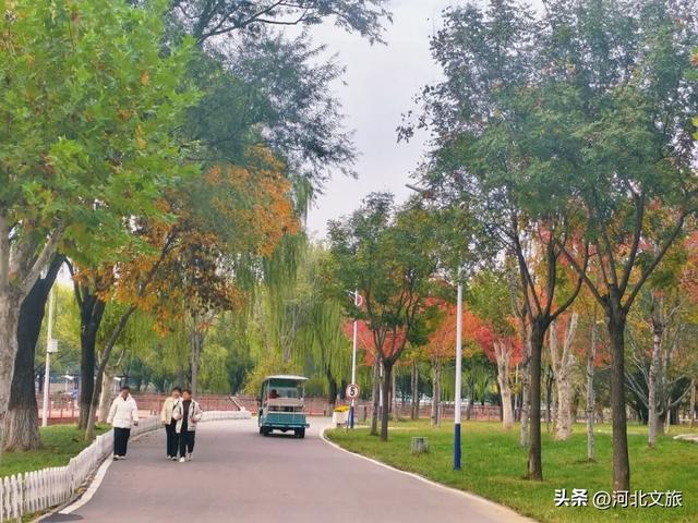 秋日，不去一趟石家庄植物园，会留遗憾