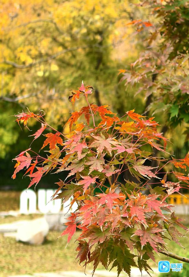 浞景无边，快乐亦无边~