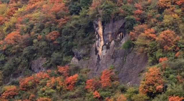 两当冬韵， “氧”心秘境