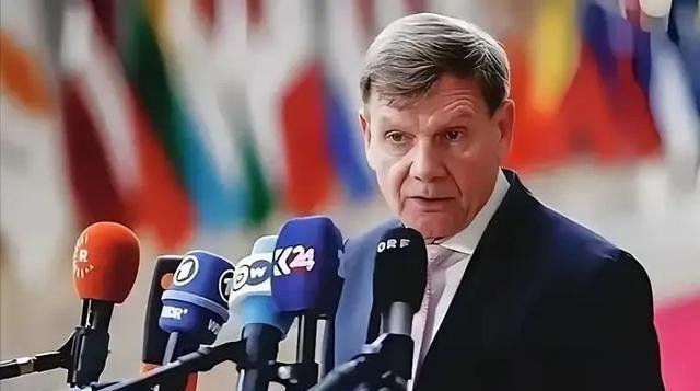 德国外长：台海有事就是德国有事，我们不接受用暴力改变台海现状