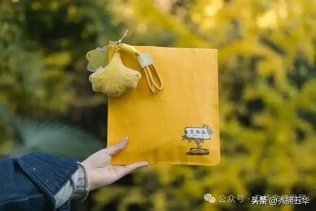 赏银杏、会海鸥，邂逅一场丰容的“昆明式暖冬”