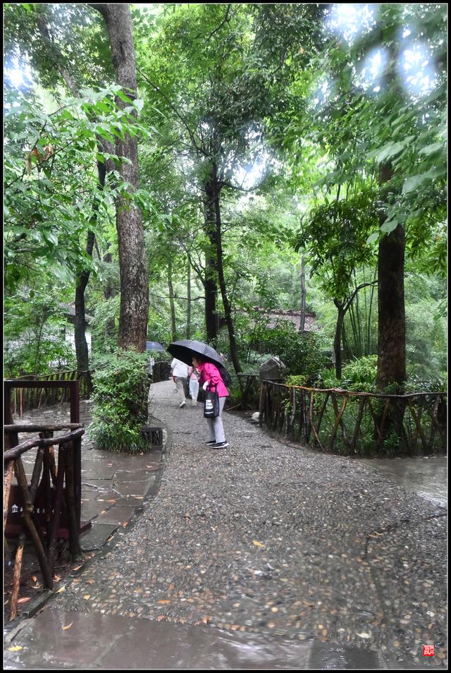 茅屋为秋风所破歌