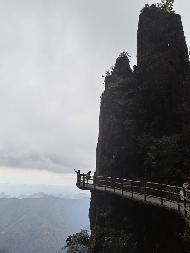 湘粤赣之旅（三）：莽山记