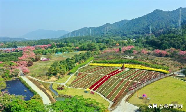 三星增辉南山月，三马拉动秋冬游，三水南山上演不落幕的文旅盛宴