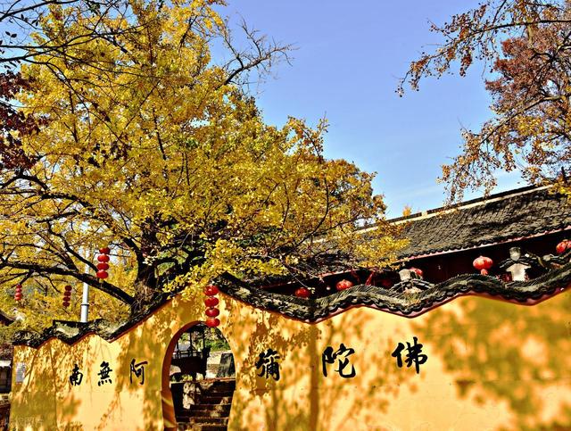 11月，去赏银杏吧！8个高颜值赏秋地，速来拍美照，挑一个就出发