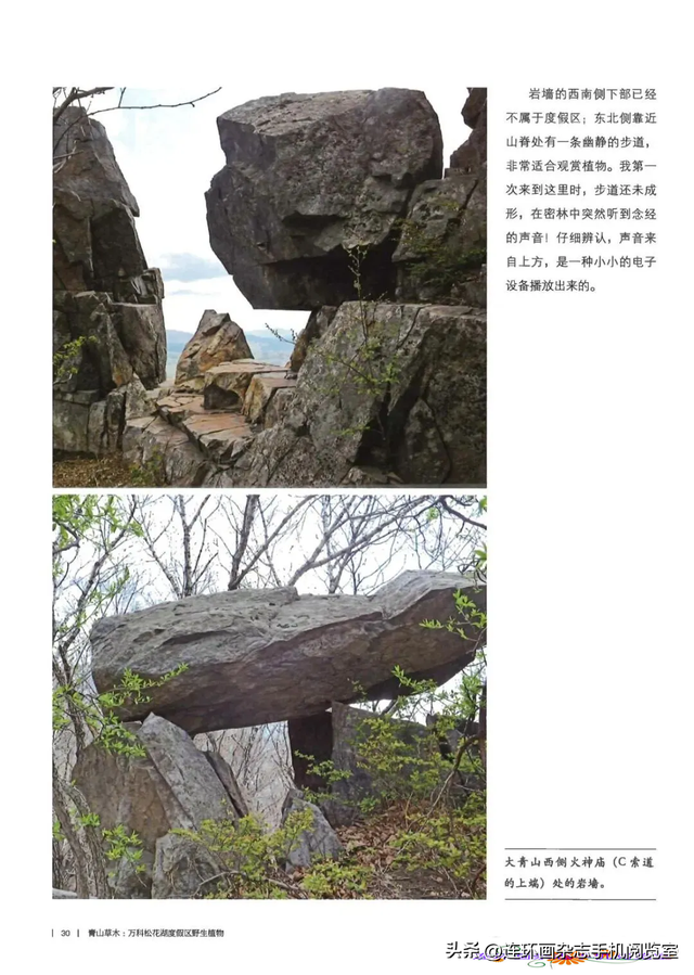 《青山草木》页选03