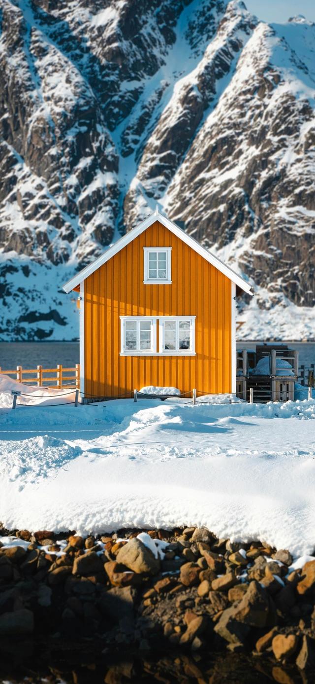 手机壁纸|冬日氛围感自然美景