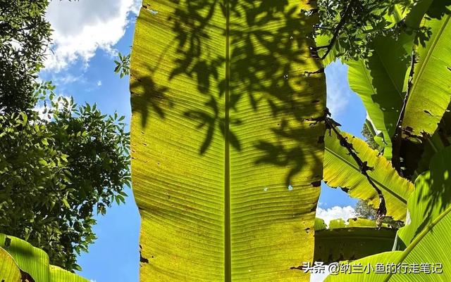 亲测！超好玩的广西百色冷门线路，还可打卡张馨予同款秘境！