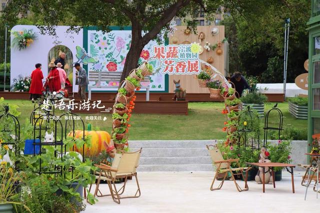 浙江宁波的地肤草观赏胜地，周边的果蔬展更加美丽，拍照很出片