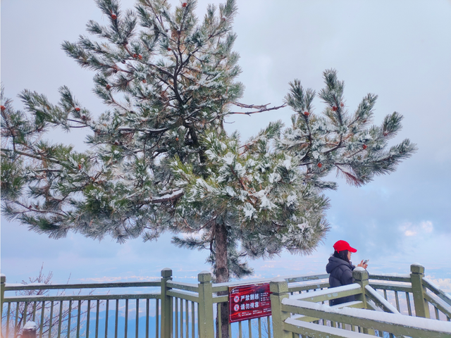告别秋景，奔赴鸡峰山的第一场雪｜冬日旅行启动