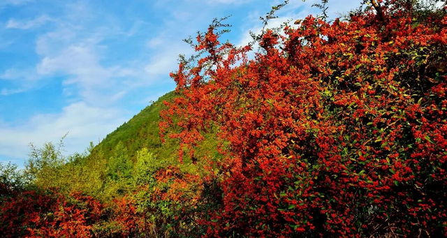 地名里的重庆 | 秀山县龙池镇，从“龙潭坝”传说到山水秘境