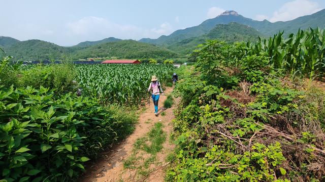 中伏天爬山体验，记石家庄鹿泉常河-北紫沟-南紫沟-南寨穿越