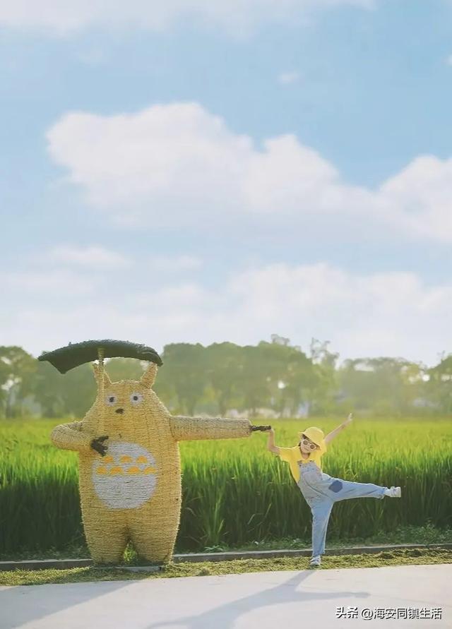 2025年海安云上森林超大规模网红粉黛花海+花海鹿群