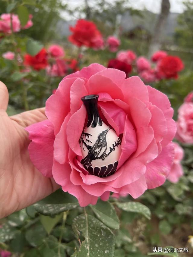 邯郸这些地方，太适合…去打卡啦🥰！