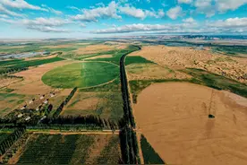 沙子用“胶水”粘上，就能变耕地种粮食？我国治沙新方法有多牛？图片
