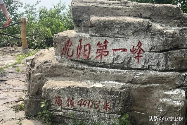 沈阳周边隐藏的“小阿勒泰”！市内出发一小时直达的云端秘境，还有高山草甸+萌宠乐园