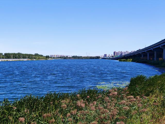 那天，来到沈阳丁香湖，真美：这不活脱脱一个新“蓝色多瑙河”