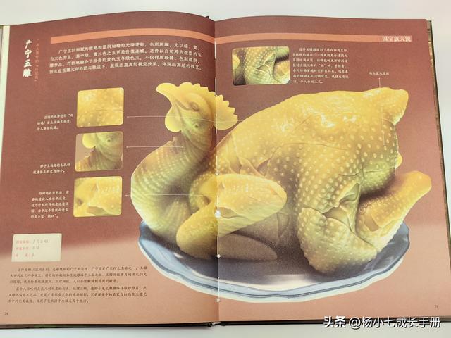 15斤重的精装《中国博物馆全书》，在家就能云逛10座特色博物馆