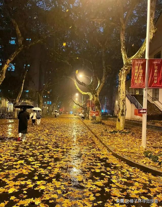 “下雨了这么发，能把人笑死”的搞笑句子