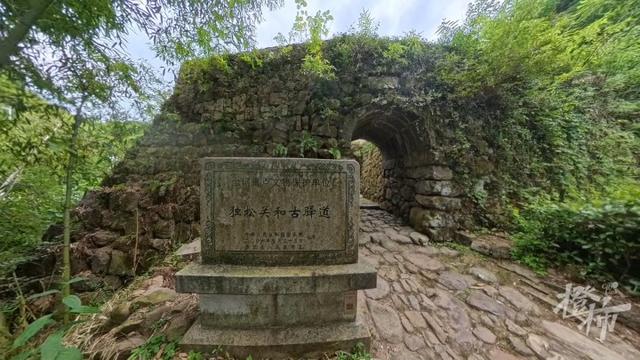 唐朝那条道