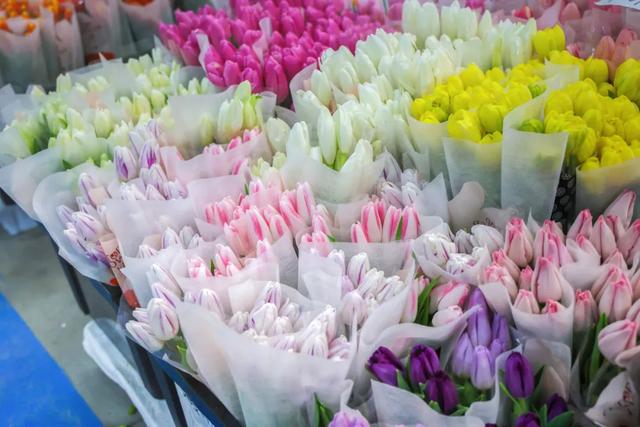 来锦江闹元宵,就这样玩儿→