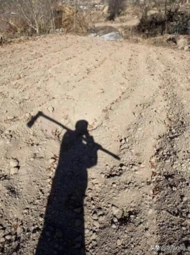 人一旦有了钱就会开始报复性消费哈哈哈哈哈