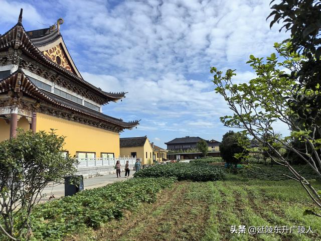 国庆假期来太湖边大有秋 远山近水丰收景 竺山书院福寿寺 蒋捷古墓